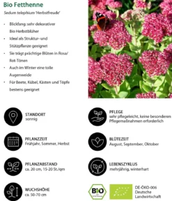 Bio Stauden-Set Sonnenzeit, Landlust Kollektion, 18-teilig