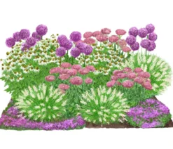 Bio Stauden-Set Sonnenzeit, Landlust Kollektion, 18-teilig