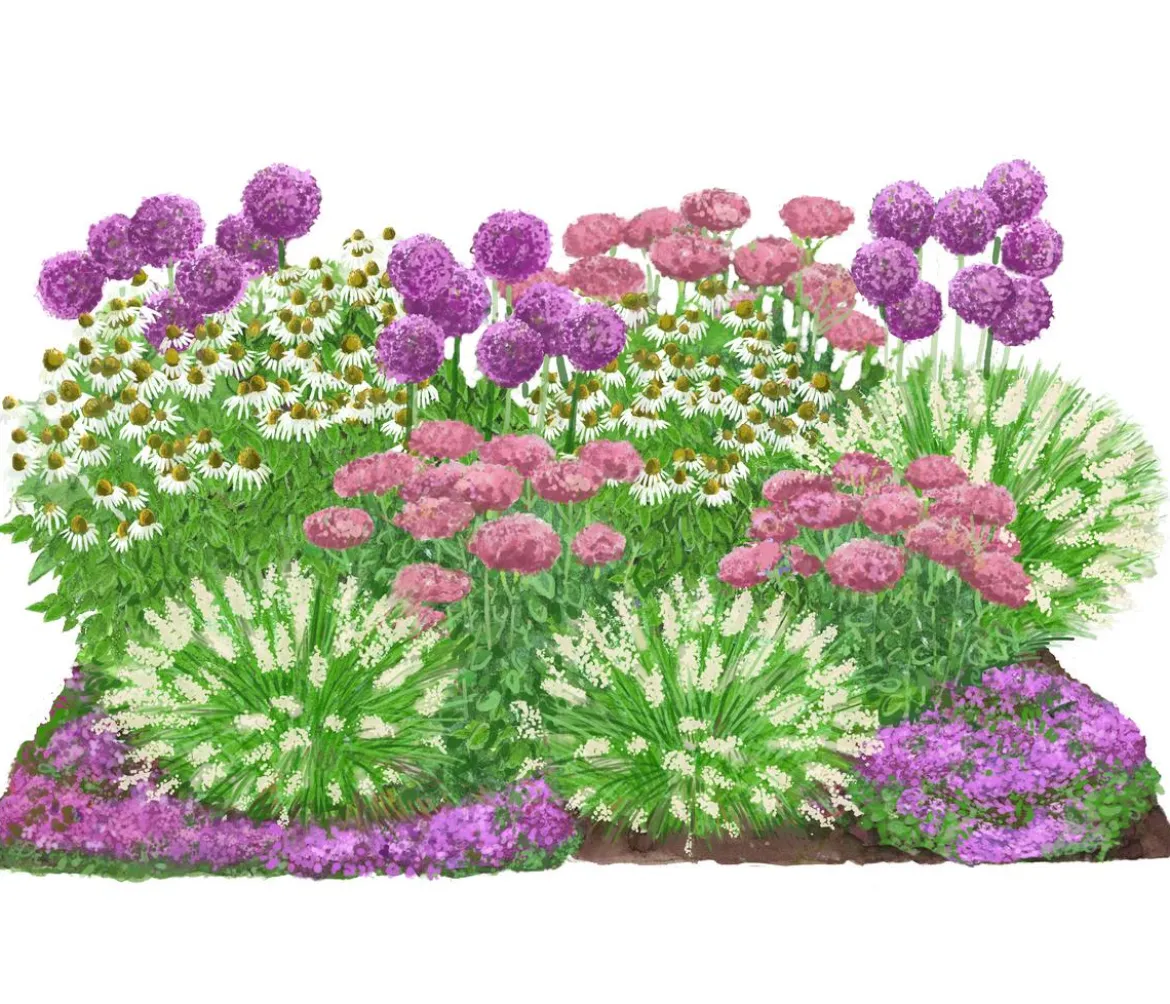 Bio Stauden-Set Sonnenzeit, Landlust Kollektion, 18-teilig