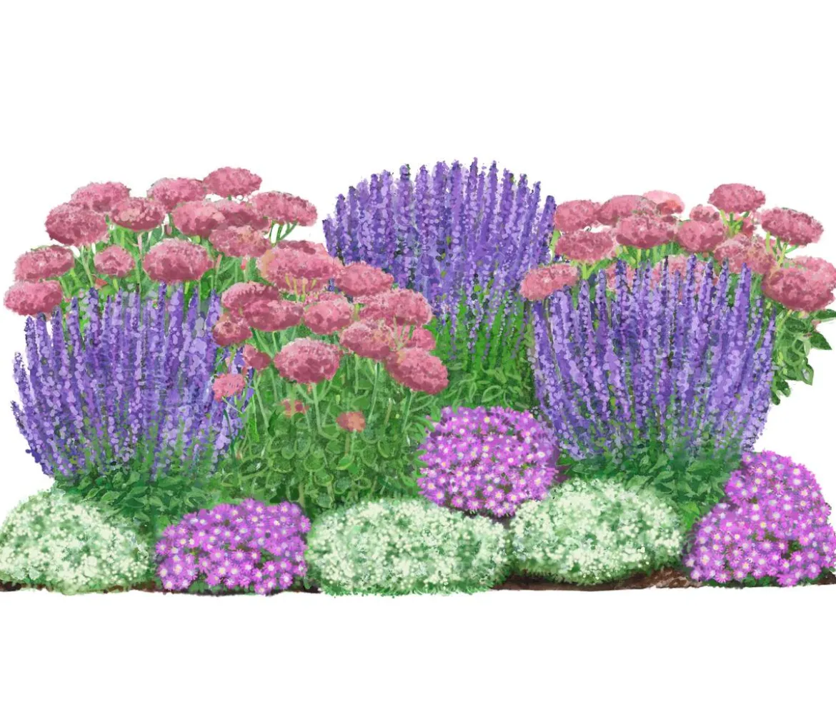 Bio Stauden-Set Terrassenglück, Landlust Kollektion, 12-teilig