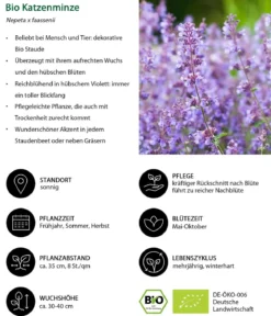Bio Stauden-Set Terrassenglück, Landlust Kollektion, 12-teilig