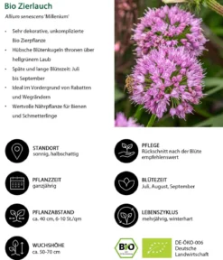 Bio Stauden-Set Trocken durch den Sommer, 24-teilig
