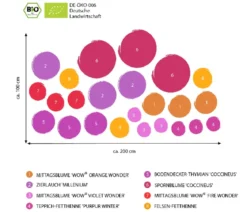 Bio Stauden-Set Trocken durch den Sommer, 24-teilig