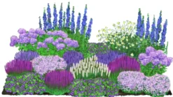 Bio Stauden-Set Weiß-blaues Gartenparadies, 24-teilig