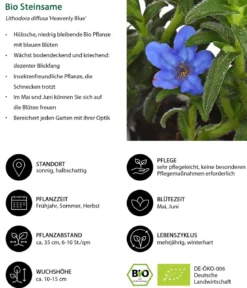 Bio Steinsame 'Heavenly Blue'