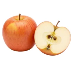 Bio Säulenapfel 'Suncats' ®, Landlust Kollektion