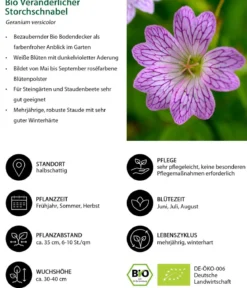 Bio Veränderlicher Storchschnabel