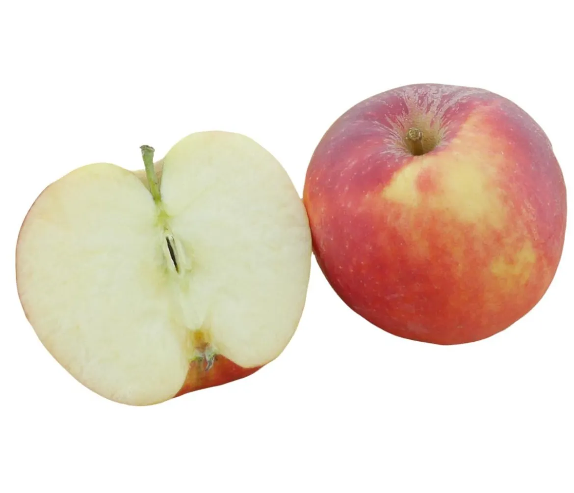 Bio Winterapfel 'Jonagold'
