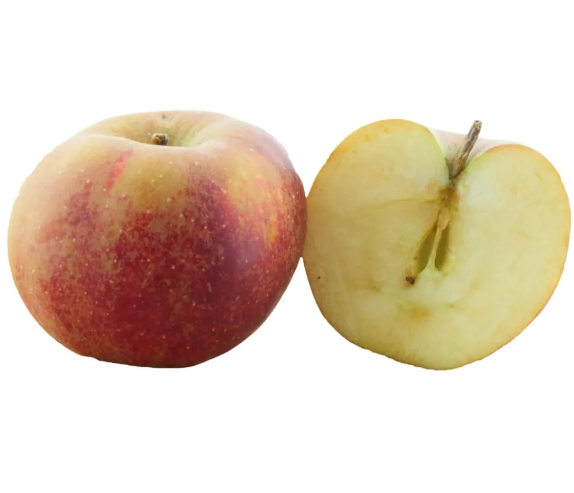 Bio Winterapfel 'Roter Boskoop'