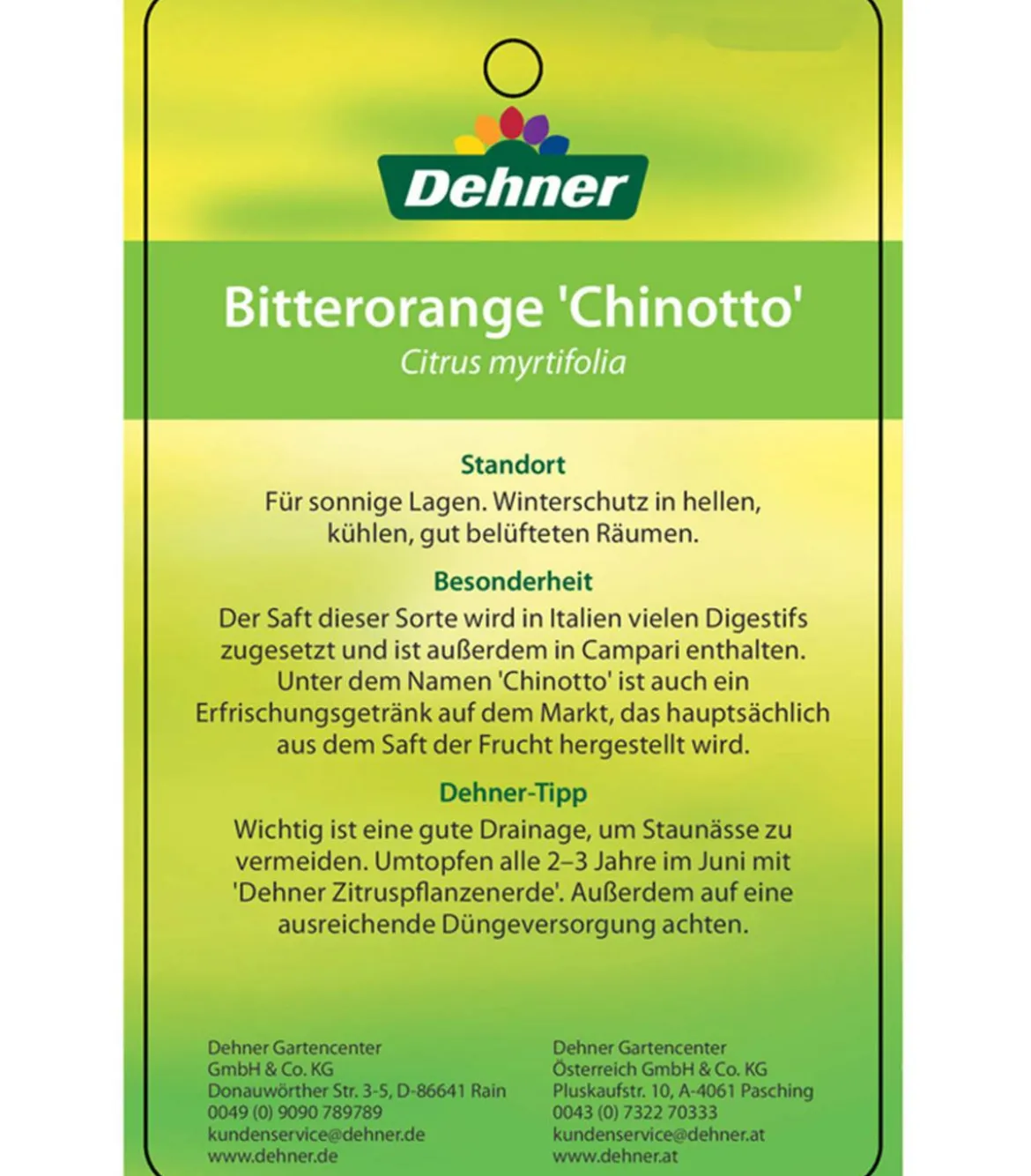 Bitterorange 'Chinotto'
