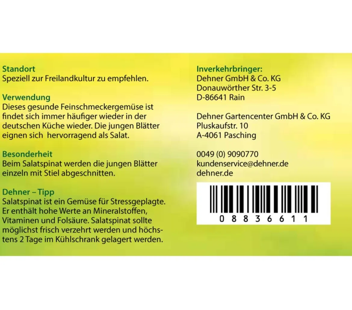Blattspinat rot geadert, 12er Schale
