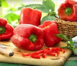Blockpaprika, rot