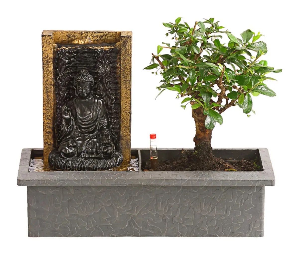 Bonsai, mit Brunnen