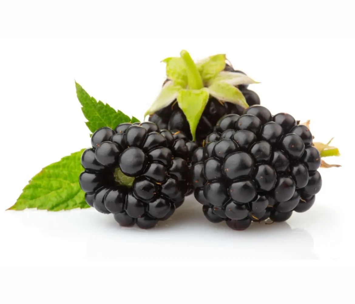 Brombeer-Set Brombeer-Bowl, 4-teilig