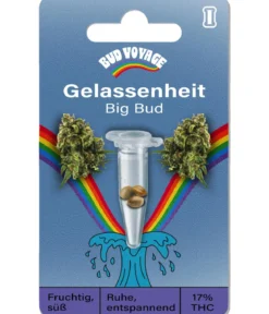 Bud Voyage Hanfsamen Gelassenheit Big Bud, 3 Stk.