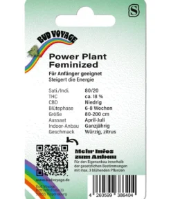 Bud Voyage Hanfsamen Kreativer Geist Power Plant, 3 Stk.