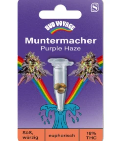 Bud Voyage Hanfsamen Muntermacher Purple Haze, 3 Stk.