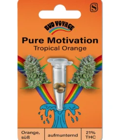 Bud Voyage Hanfsamen Pure Motivation Tropical Orange, 3 Stk.