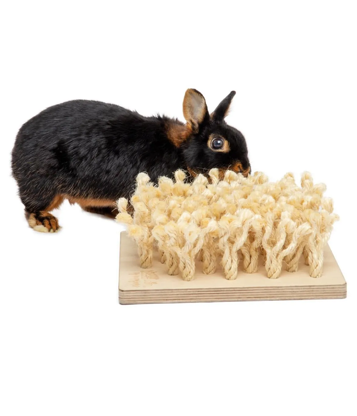 bunny® NATURE by puppijames Nagerspielzeug Schnüffelbrett, ca. B24,5/H9/T24,5 cm