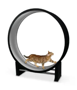 CanadianCat Company® Katzenlaufrad Cat in Motion XL, ca. B131/H144/T31 cm