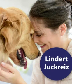 Canosept® Ohrreiniger für Hunde, 125 ml