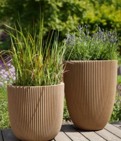 Capi Europe Kunststoff-Topf Groove hoch, konisch