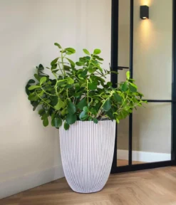 Capi Europe Kunststoff-Topf Groove hoch, konisch