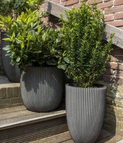 Capi Europe Kunststoff-Topf Groove hoch, konisch