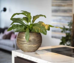 Capi Europe Kunststoff-Topf Nature Rib NL, rund
