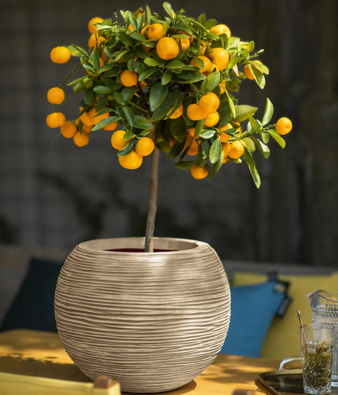 Capi Europe Kunststoff-Topf Nature Rib NL, rund