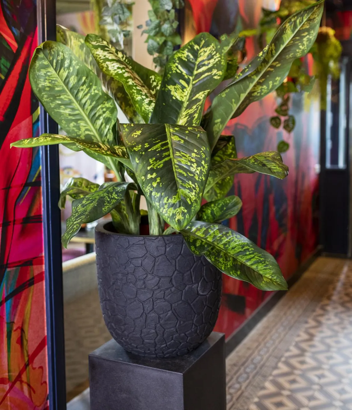 Capi Europe Kunststoff-Topf Nature Clay NL, rund