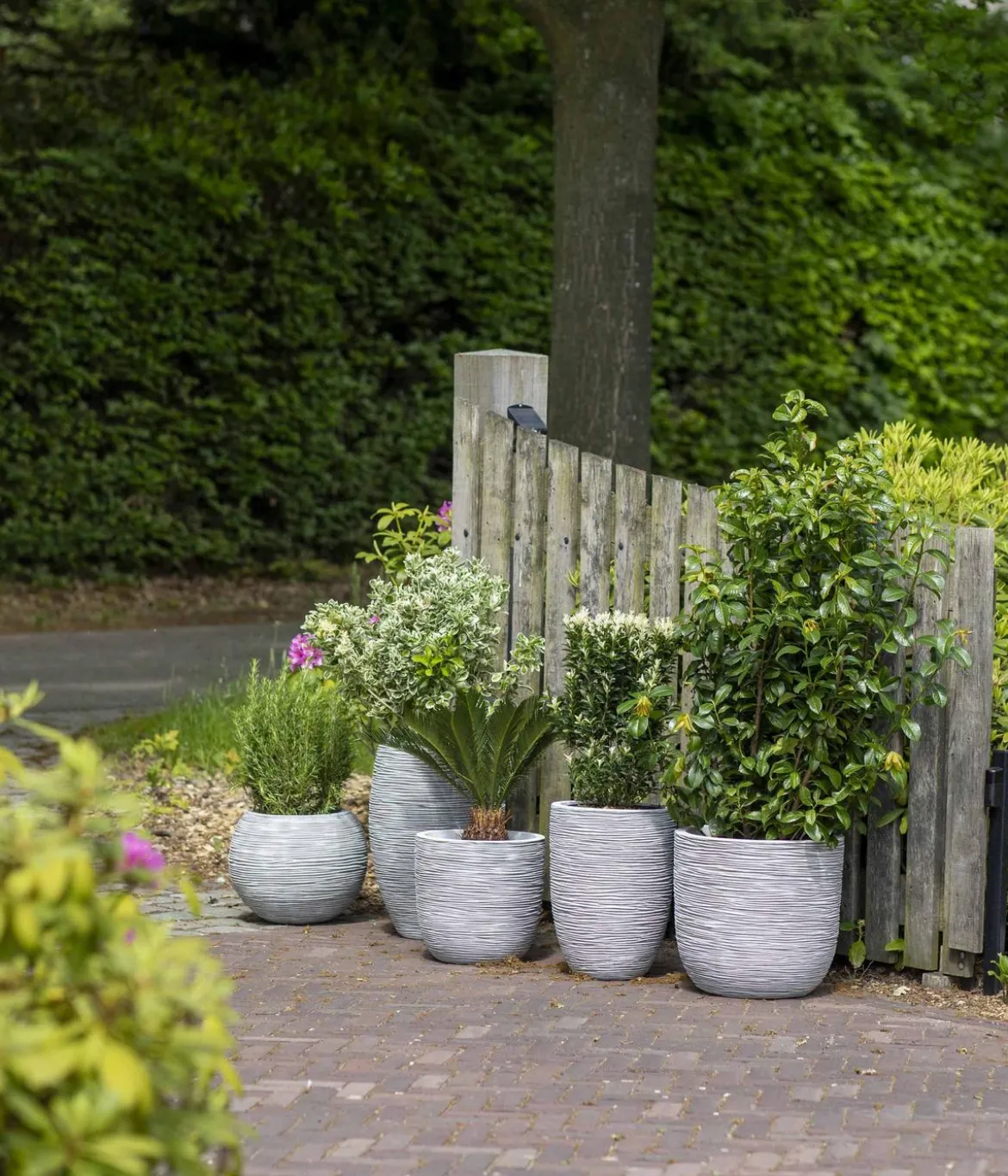 Capi Europe Kunststoff-Topf Nature Rib NL, konisch
