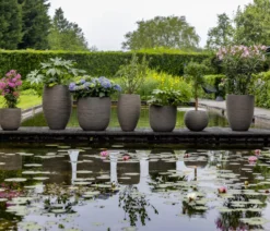 Capi Europe Kunststoff-Topf Nature Rib NL, konisch