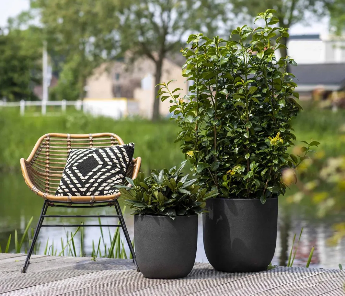 Capi Europe Kunststoff-Topf Urban Smooth NL, rund