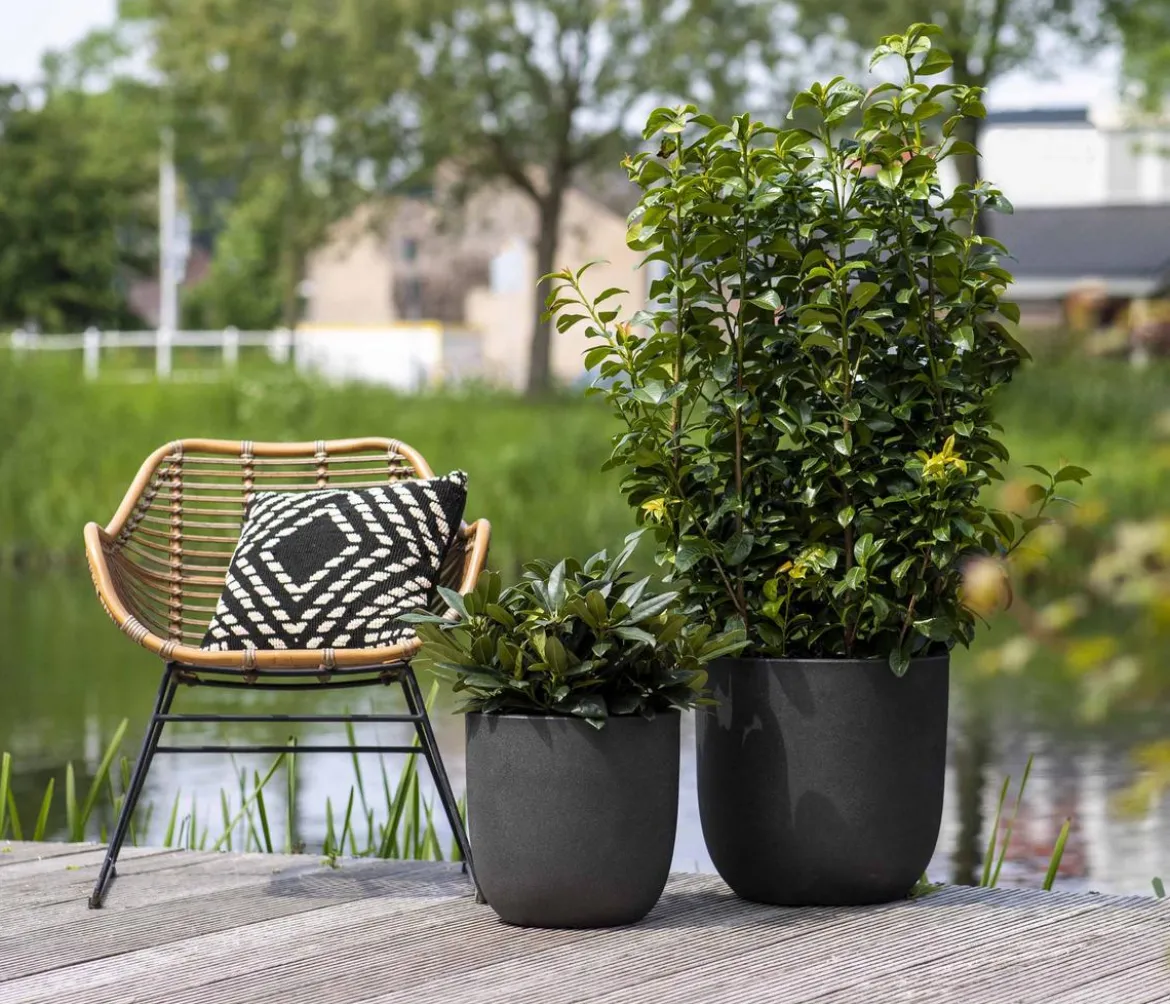 Capi Europe Kunststoff-Topf Urban Smooth NL, rund