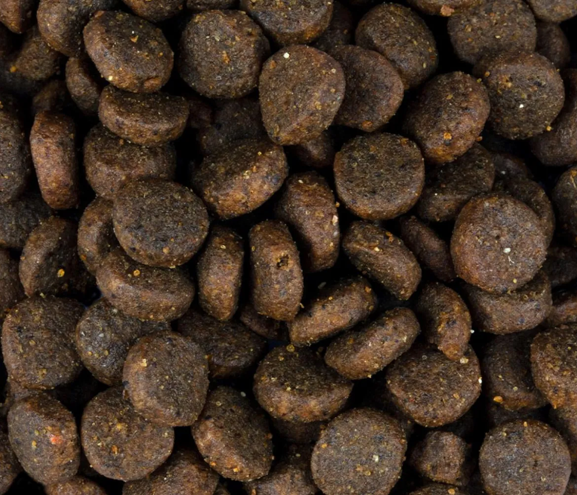 Carnilove Trockenfutter für Hunde Puppy, Lachs & Truthahn