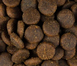 Carnilove Trockenfutter für Hunde Large Breed Puppy, Lachs & Truthahn