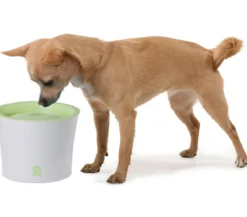 Catit Fresh & Clear Trinkbrunnen, 3 l