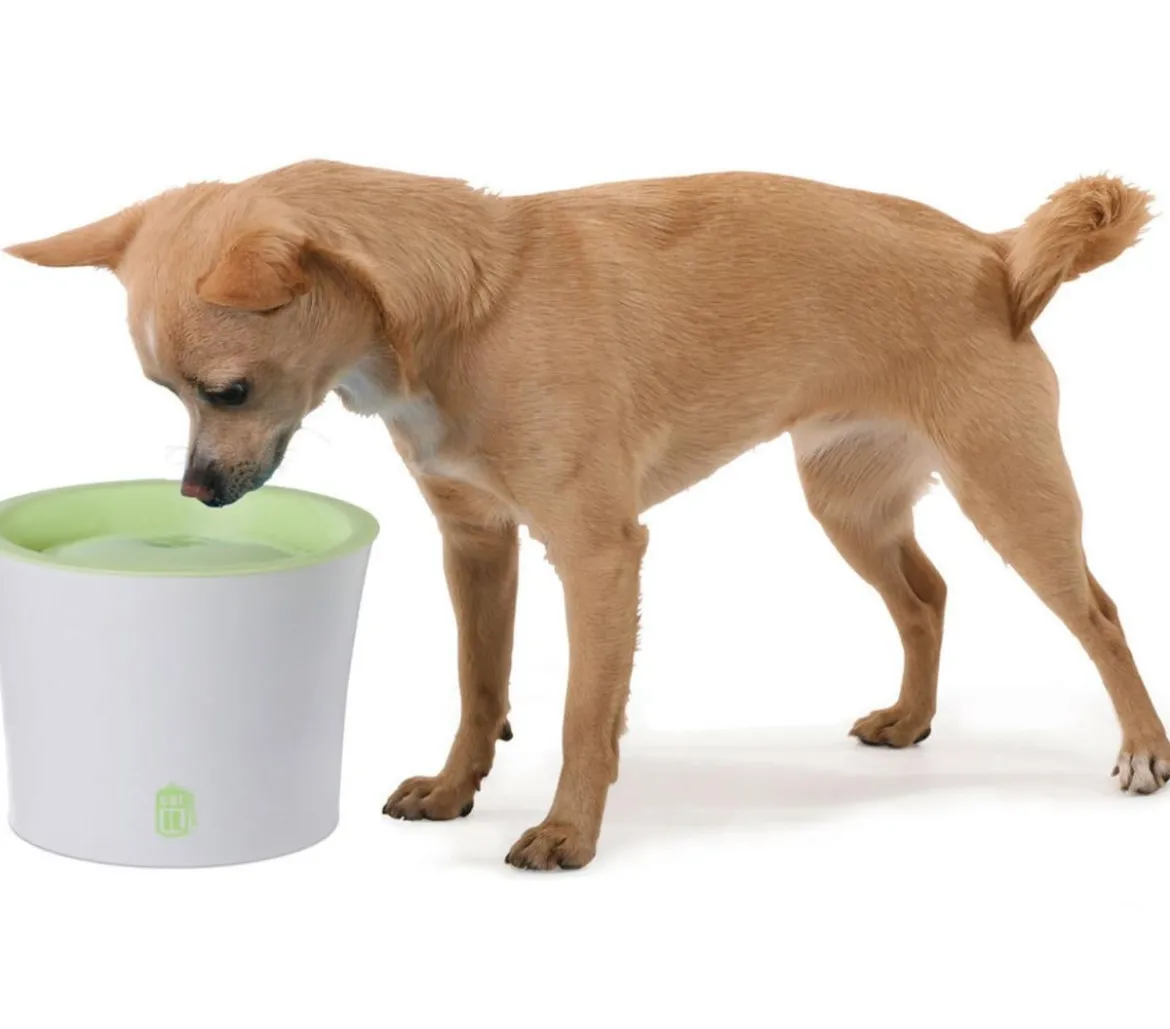 Catit Fresh & Clear Trinkbrunnen, 3 l
