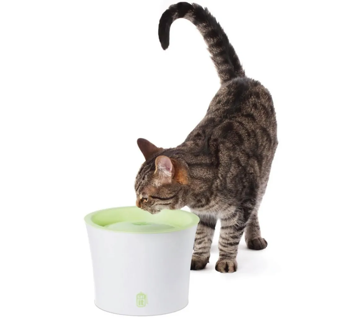 Catit Fresh & Clear Trinkbrunnen, 3 l
