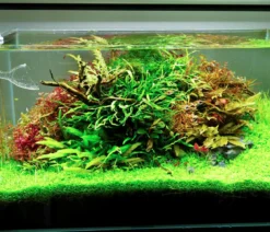 Chihiros Aquariumbeleuchtung LED-System A II Serie