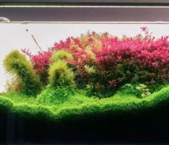 Chihiros Aquariumbeleuchtung LED-System B Serie