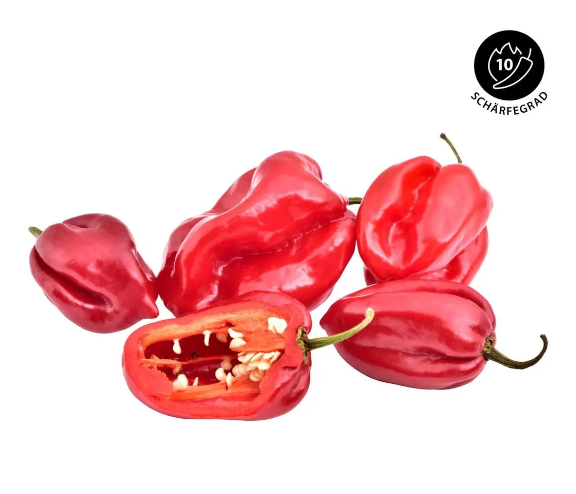 Chili 'Habanero', rot