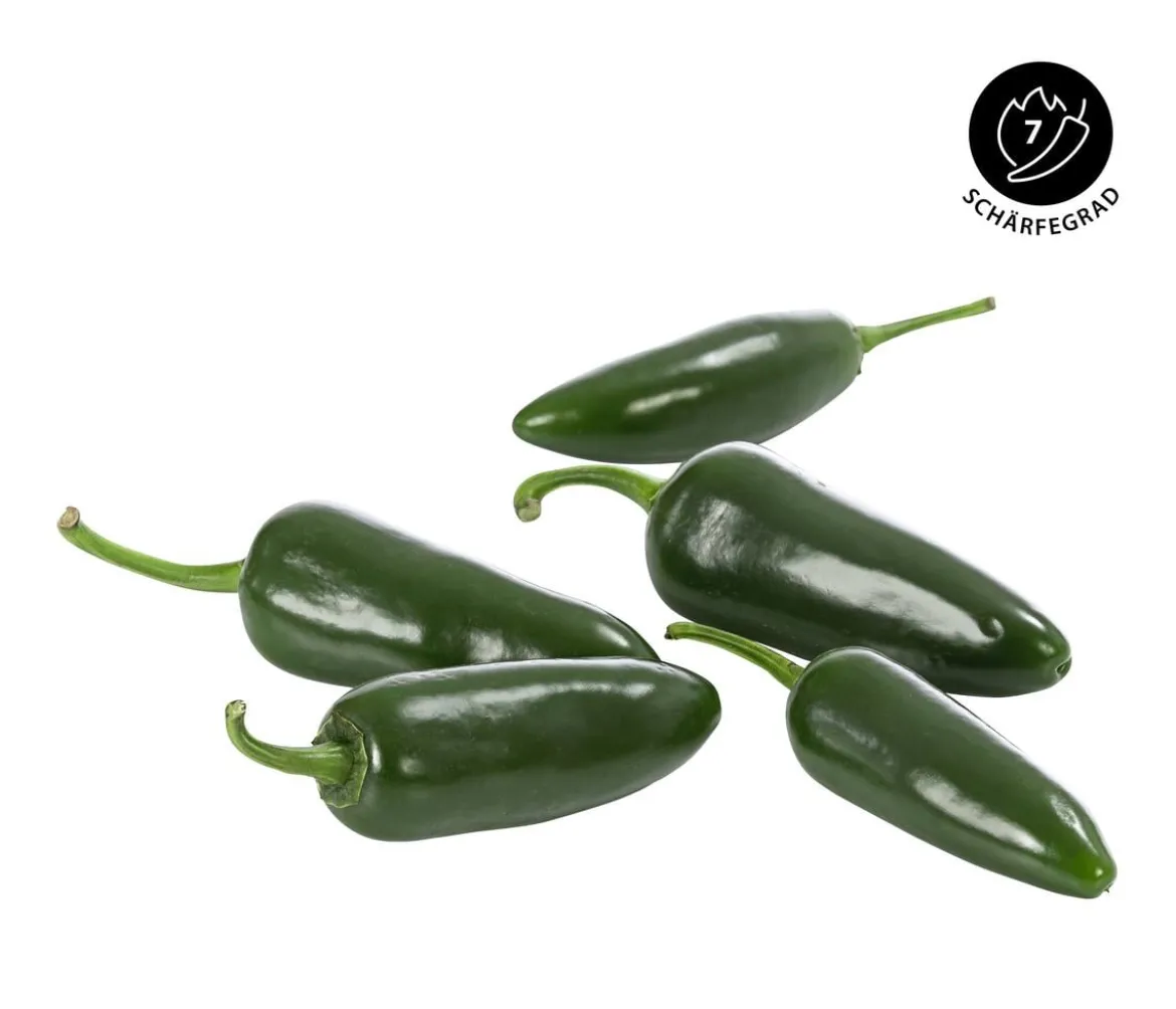 Chili 'Jalapeño'