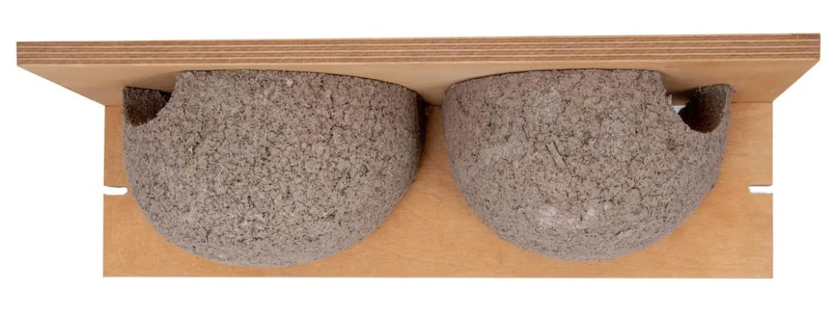 CJ Wildlife Nistkasten Doppelnest Mehlschwalbe Cancun, ca. B37,5/H11/T16 cm