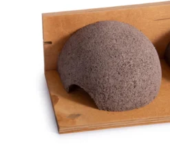 CJ Wildlife Nistkasten Doppelnest Mehlschwalbe Cancun, ca. B37,5/H11/T16 cm