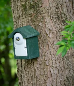 CJ Wildlife WoodStone® Nistkasten Holzbeton, Einflugloch ca. Ø28 mm, grün