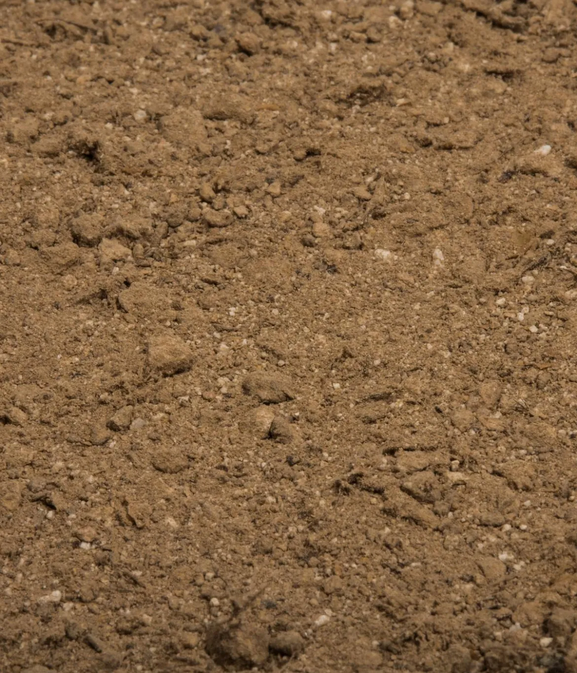 COMPO BIO Naturdünger mit Guano
