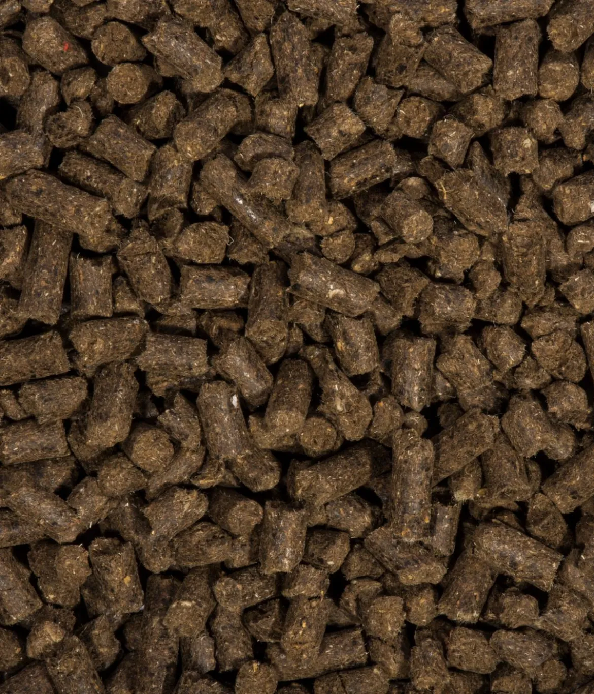 COMPO BIO Universal Langzeit-Dünger mit Schafwolle, 2 kg