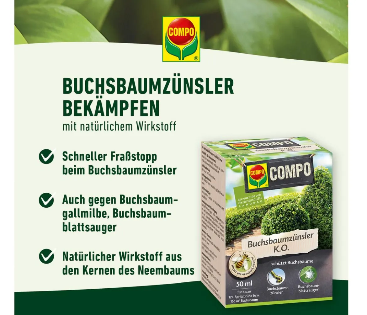 COMPO Buchsbaumzünsler K.O., flüssig, 50 ml